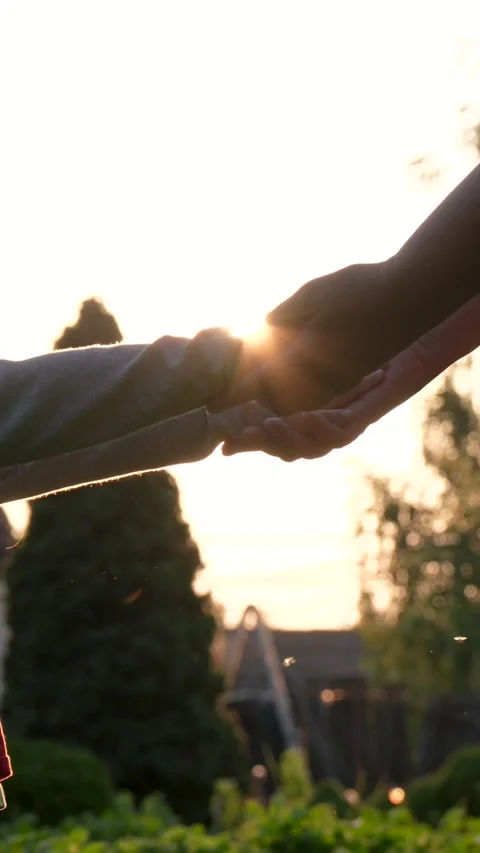 Parent and child holding hands at sunset in a park Stock Footage 314017871