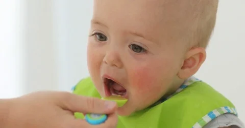 Parent feeding infant child Stock Footage 77385161
