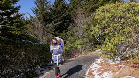 A parent hikes with their child in a backpack carrier along a snowy forest trail Video stock 280020149