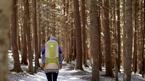 A parent hikes with their child in a backpack carrier through a snowy forest Stock Footage 280020337