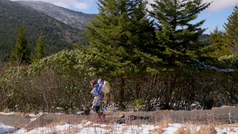 A parent hikes with their child in a backpack carrier through a snowy forest Vidéo 280020452