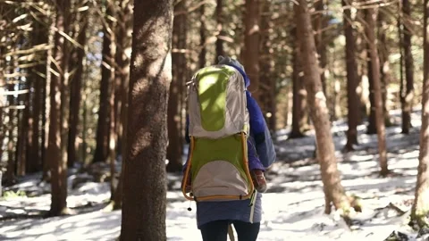 A parent hikes with their child in a backpack carrier through a snowy forest Vídeo Stock 280077461
