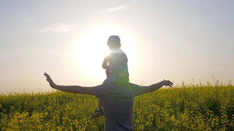 Parent with kid playing airplane on nature, son sits on shoulders father on Stock Footage 77961373