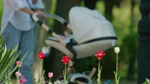 Parent pushing a baby stroller through a colorful park with blooming flowers Vídeos de archivo 336873251