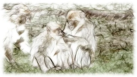 Parenthhood Stock Footage 205098953