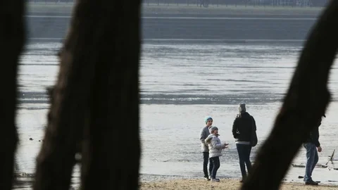 Parents and Their Two Children at the River Bank Stock Footage 80288501