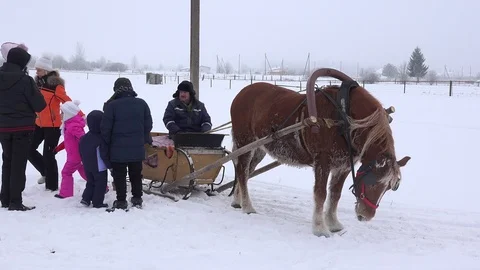 Parents with children sit in sledge pulled by horse on snow in cold winter. 4K Stock Footage 107699896
