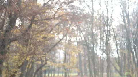 Parents having fun with daughter in the park, beckoning at camera Stock Footage 59553745