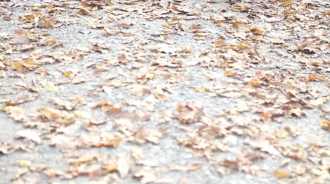 Parents sitting on pathway in the park and having fun with daughter Stock Footage 59553746