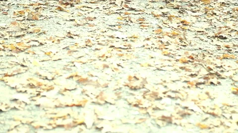 Parents sitting on pathway in the park and having fun with daughter Stock Footage 59553749
