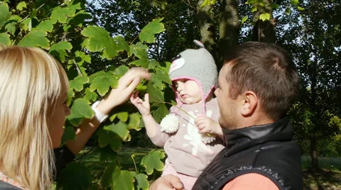 Parents with small children Stock Footage 54600165