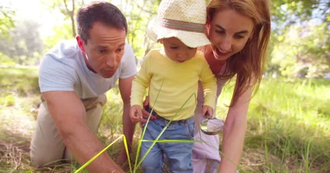 Parents teaching their toddler about nature Stock Footage