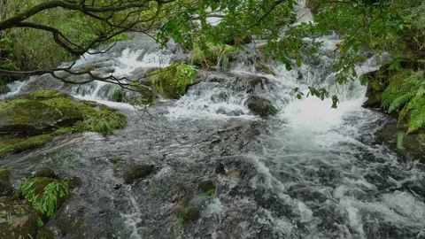 Parga River Flowing Over Rocks In Tropical Jungle In Spain. Slow Motion Stock-Footage 256773622