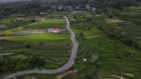 Pariangan 스톡 동영상 246111139