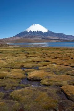 Parinacota Volcano Foto stock