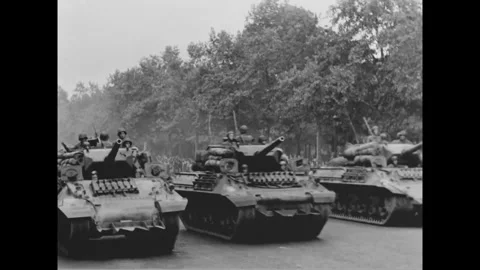 PARIS - 1944: Armored column - Three tracked vehicles advance under Paris trees Stock-Footage 344005845