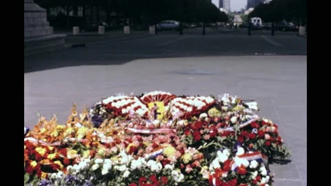 Paris 1980s, Different types of colourful flowers in ground Stock Footage 219850350