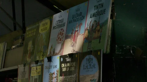 PARIS BOOKS Video stock 95192185