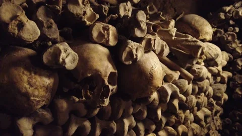 Paris Catacombs, bones, skulls, skeleton close-up Stock Footage 136902724
