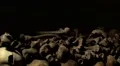 Paris Catacombs Multiple Clips Series1 at 59.9fps HD Footage