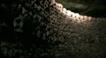 Paris Catacombs - pan HD Footage