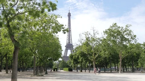 Paris Champ de Mars green trees park with people walk and the Eiffel Tower Video stock 76839098