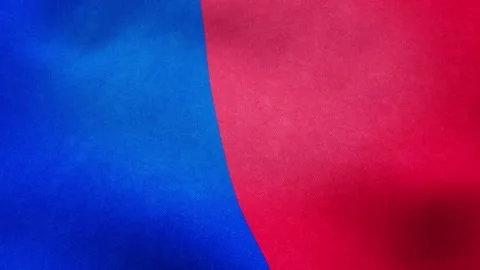 Paris City Flag Waving without Coat of Arms, 3D Animation Stock Footage 305260477