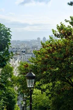 Paris City View Framed by Trees and Traditional Street Lantern Stock-Fotos