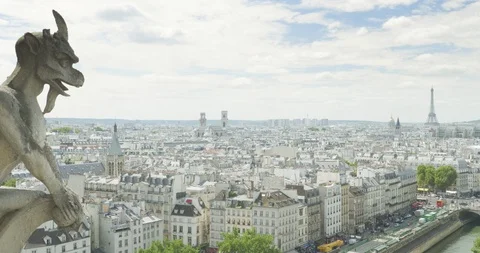 Paris cityscape with Eiffel Tower, view from Notre Dame Stock Footage 108285148