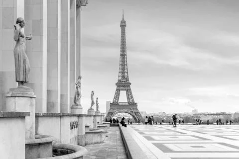 Paris Eiffel Tower and Champ de Mars in Paris Foto stock