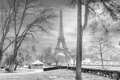 Paris Eiffel Tower and Champ de Mars in Paris Stock Photos