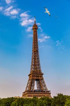 Paris Eiffel Tower and river Seine at sunset in Paris, France. Eiffel Tower i Stock Photos