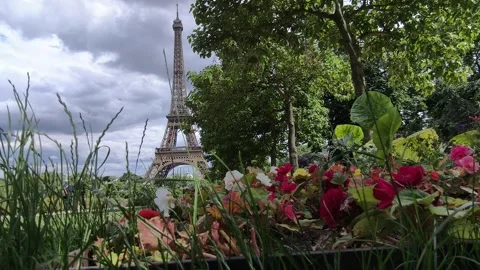 Paris Eiffel Tower Couple Walking Grass Flowers Wind Cloudy Sky France Vidéo 336571833