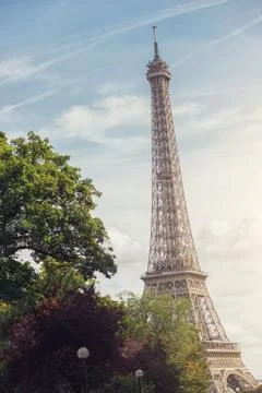 Paris Eiffel tower at dusk Фото