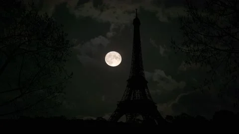 Paris Eiffel Tower Landscape Trees Tree River, Stock Footage 236958780
