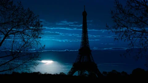 Paris Eiffel Tower Landscape Trees Tree River, Stock Footage 237044470