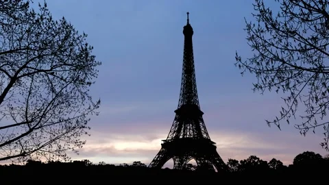 Paris Eiffel Tower Landscape Trees Tree River, Stock Footage 238045720