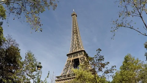 Paris Eiffel Tower medium wide shot through trees bird flies through Video stock 96216214