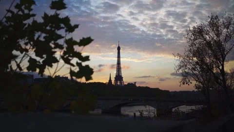 Paris Eiffel Tower reveal behind tree at sunset with birds at Seine River Stock Footage 331126507