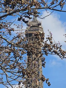 Paris Eiffel Tower, in spring with beautiful sky in the background 스톡 사진