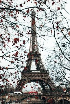 Paris, Eiffel Tower through tree branches in cloudy weather. 스톡 사진