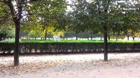 Paris in fall Vídeos de archivo 12653293