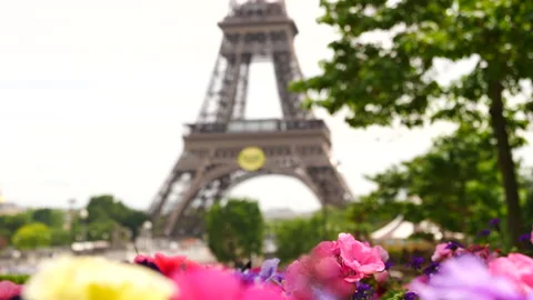 Paris, flowers and Eiffel Tower stock footage Video stock 237923839