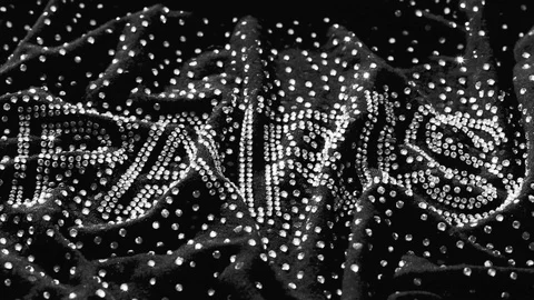 Paris Stock Footage 106169010