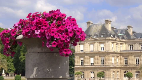 Paris Stock Footage 134244132