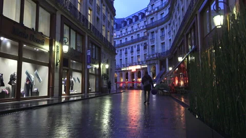 Paris Stock Footage 161100139