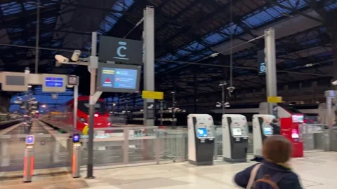 Paris Gare de Lyon train station hall Stock Footage 242370240