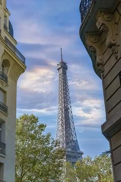 Paris, Haussmann facade and the Eiffel Tower 
 스톡 사진