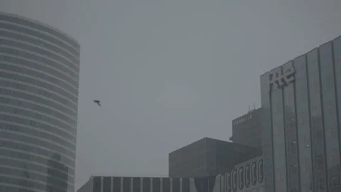 Paris, La Defense 4 Stockbeeldmateriaal 228823308