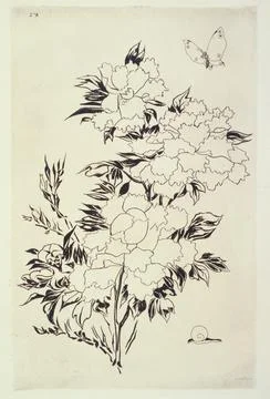 Paris Museums, Board 2: Large flowers 스톡 사진